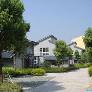 大纵湖水润天成 实景图