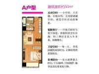 0511花漾公寓50平米户型