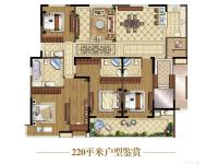 220㎡户型鉴赏
