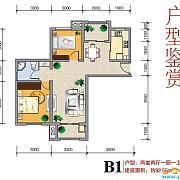B1户型 B1户型