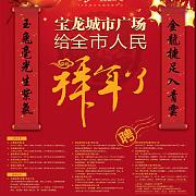 宝龙城市广场 宣传海报