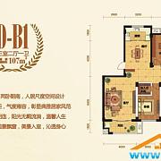 D-B1 D-B1