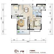 D1户型 D1户型