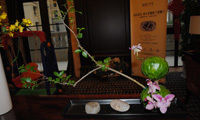 “橡树湾花园里的艺术·家”插花讲座成功举办