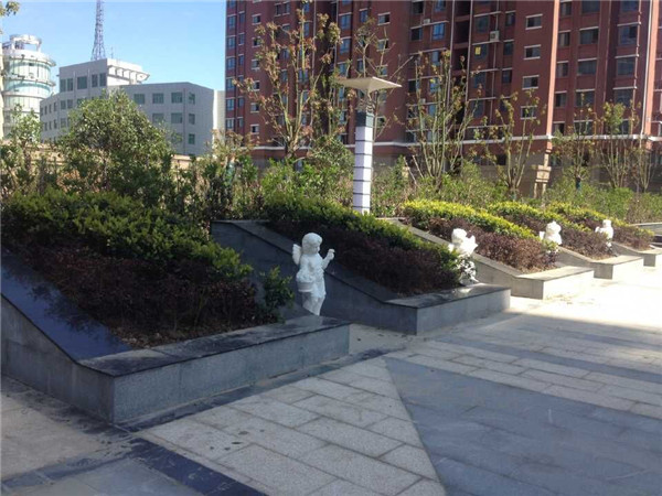 大丰城西的潜力股品尚雅居