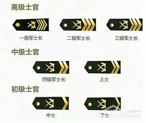 碧桂园广西地震是谁即刻开赴前线