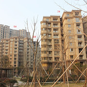 苏豪名邸 2017年2月份施工图
