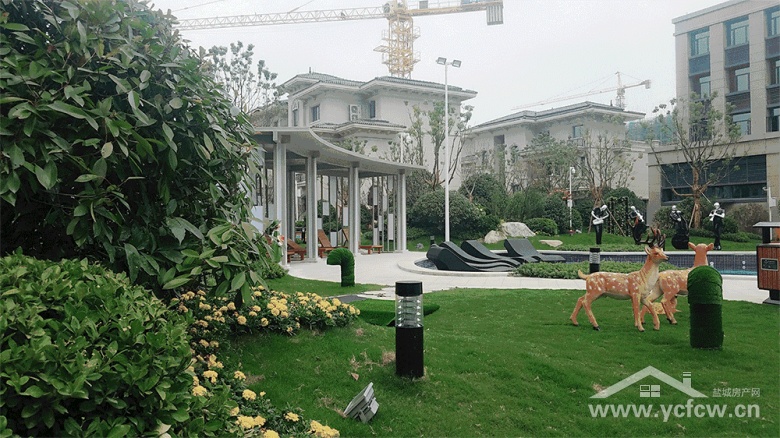 十全十美碧定乾坤碧桂园珺悦府醉美示范区华彩绽放一鉴倾城